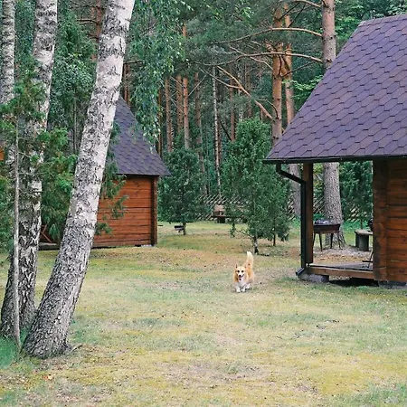 Niidupuu Kemping