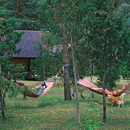 Kemping Niidupuu
