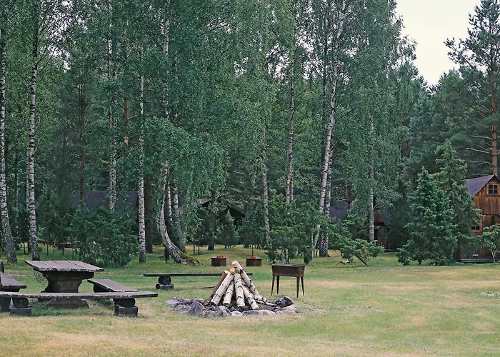 Niidupuu Campsite