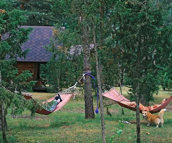 Campsite Niidupuu
